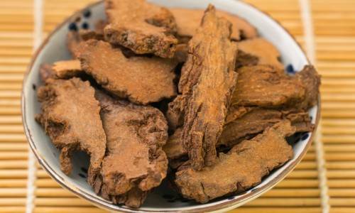 压缩性骨折恢复时间表-压缩性骨折伴随身体症状网 :分享压缩性骨折保守治疗一般多久恢复-压缩性骨折一般躺多久知识